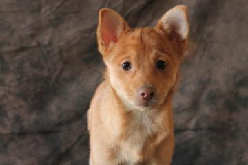 Theodore