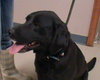 Betty