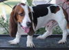 Buster