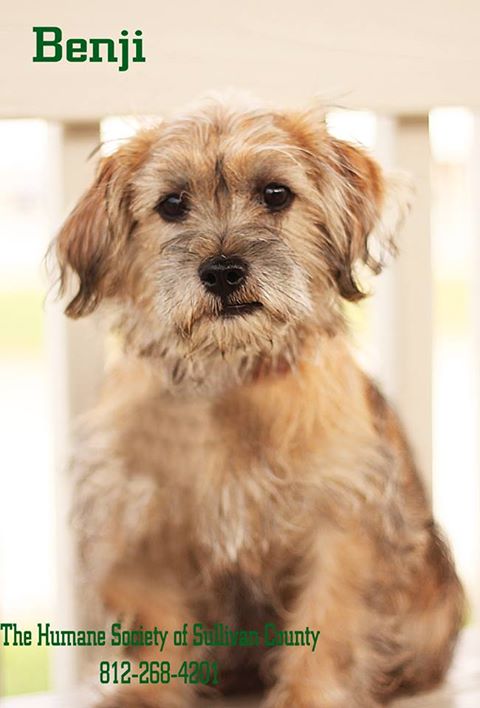 Benji
