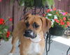 Zoey
