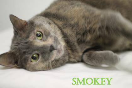 Smokey