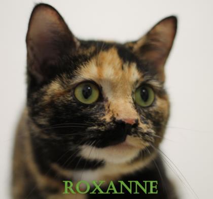 Roxanne