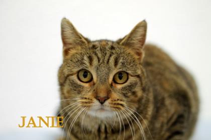 Janie