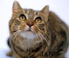 Janie