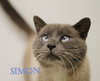 Simon
