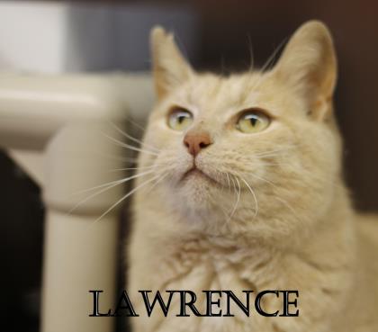 Lawrence