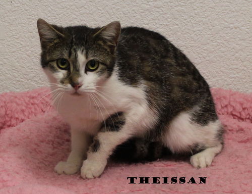 Theissan