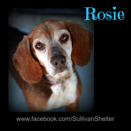 Rosie