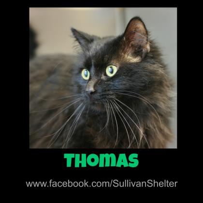 Thomas