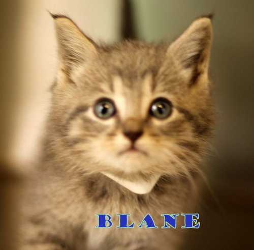 Blane