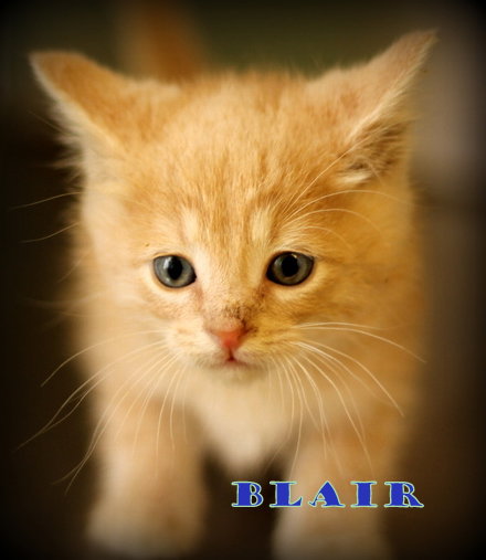 Blair