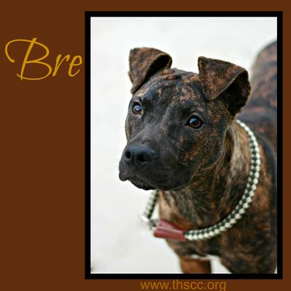 Bre