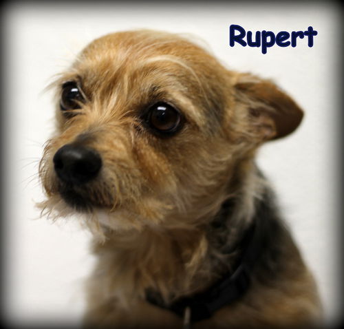 Rupert