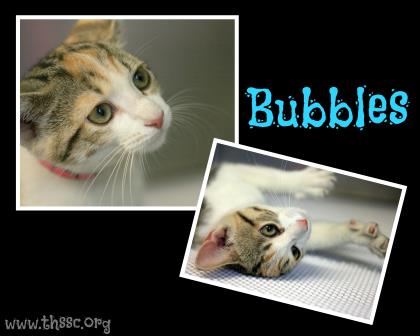 Bubbles