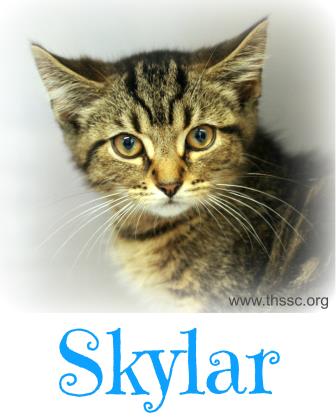 Skylar