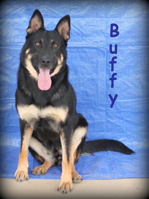 Buffy