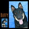 Buffy