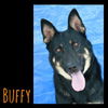 Buffy