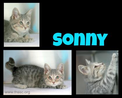 Sonny