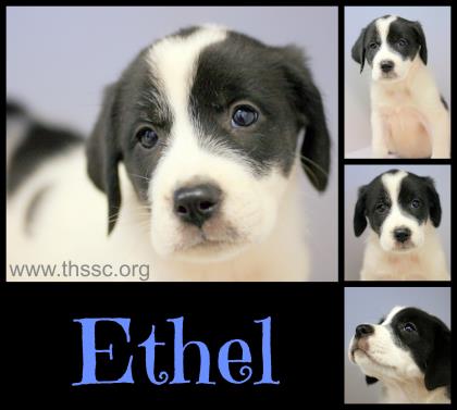 Ethel