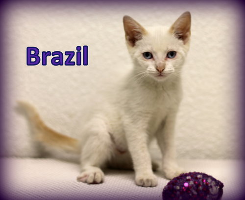 Brazil