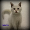 Brazil
