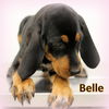 Belle