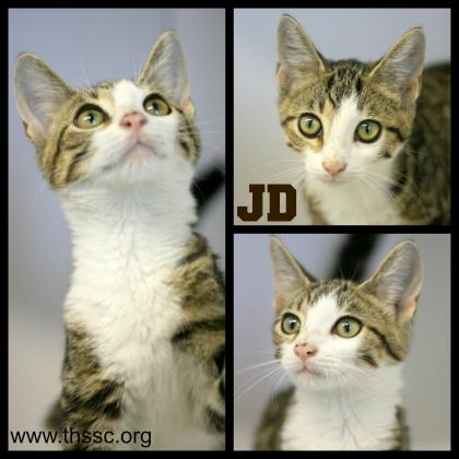 JD