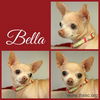 Bella