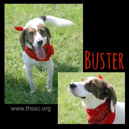 Buster