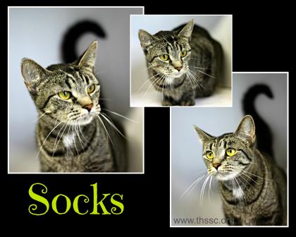 Socks