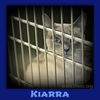 Kiarra