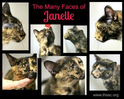 Janelle
