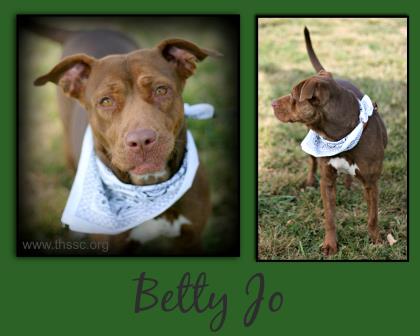 Betty Jo