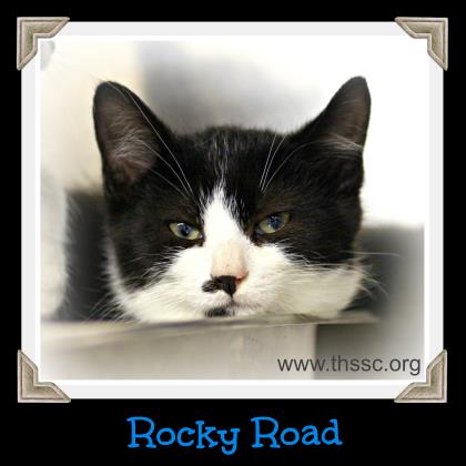 Rocky Road