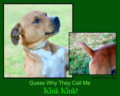 Kink Kink