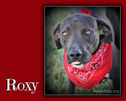 Roxy