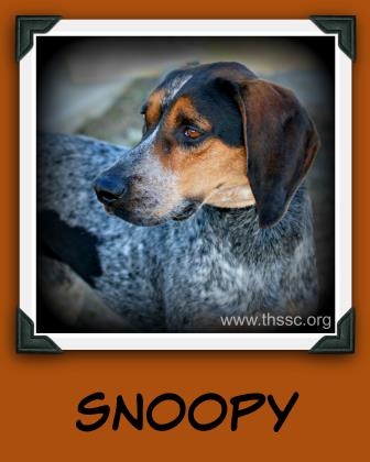 Snoopy
