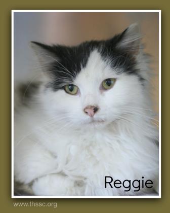 Reggie