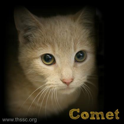 Comet
