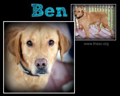 Ben