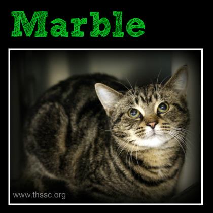 Marble