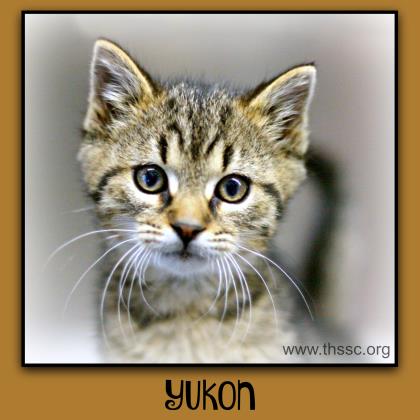 Yukon