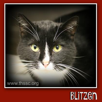 Blitzen