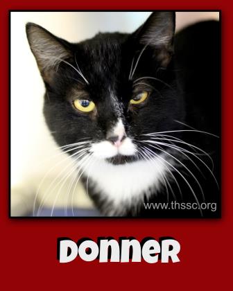 Donner