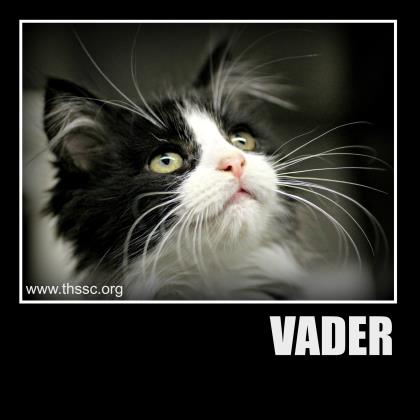 Vader