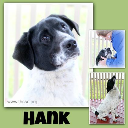 Hank