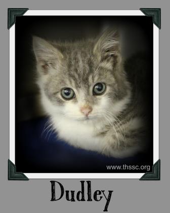 Dudley
