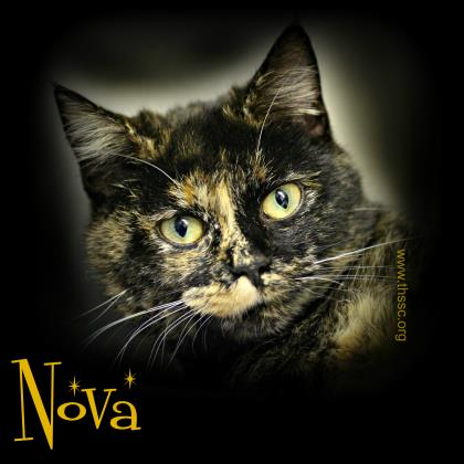 Nova